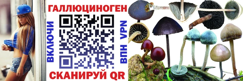 блэк спрут рабочий сайт Кондрово Галлюциногенные грибы GOLDEN TEACHER